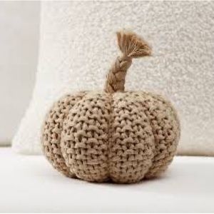 Pottery barn cozy pumpkin